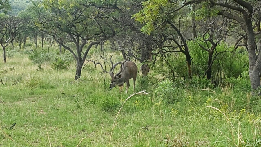 7 Bedroom Property for Sale in Ohrigstad Limpopo