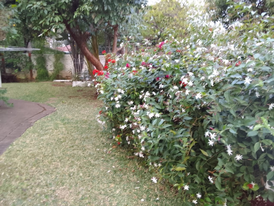 4 Bedroom Property for Sale in Phalaborwa Limpopo