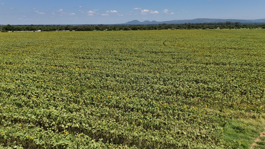 8 Bedroom Property for Sale in Bela Bela Limpopo