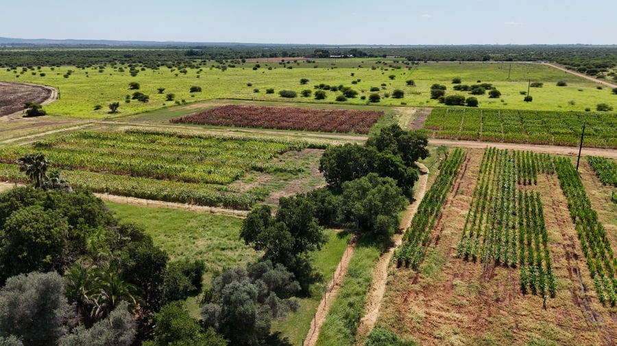 8 Bedroom Property for Sale in Bela Bela Limpopo