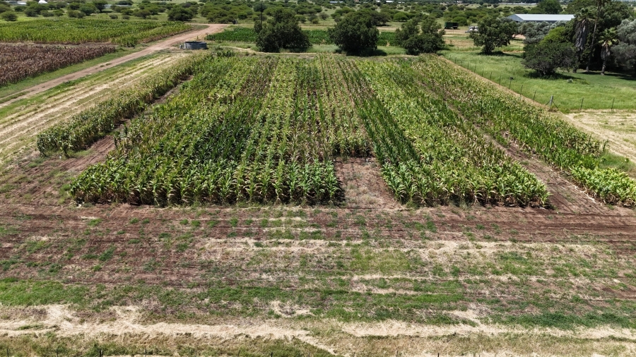 8 Bedroom Property for Sale in Bela Bela Limpopo