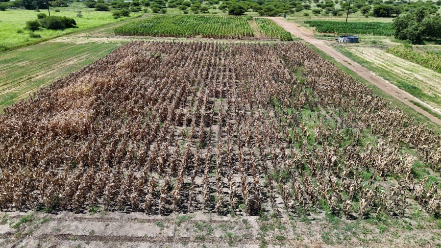 8 Bedroom Property for Sale in Bela Bela Limpopo