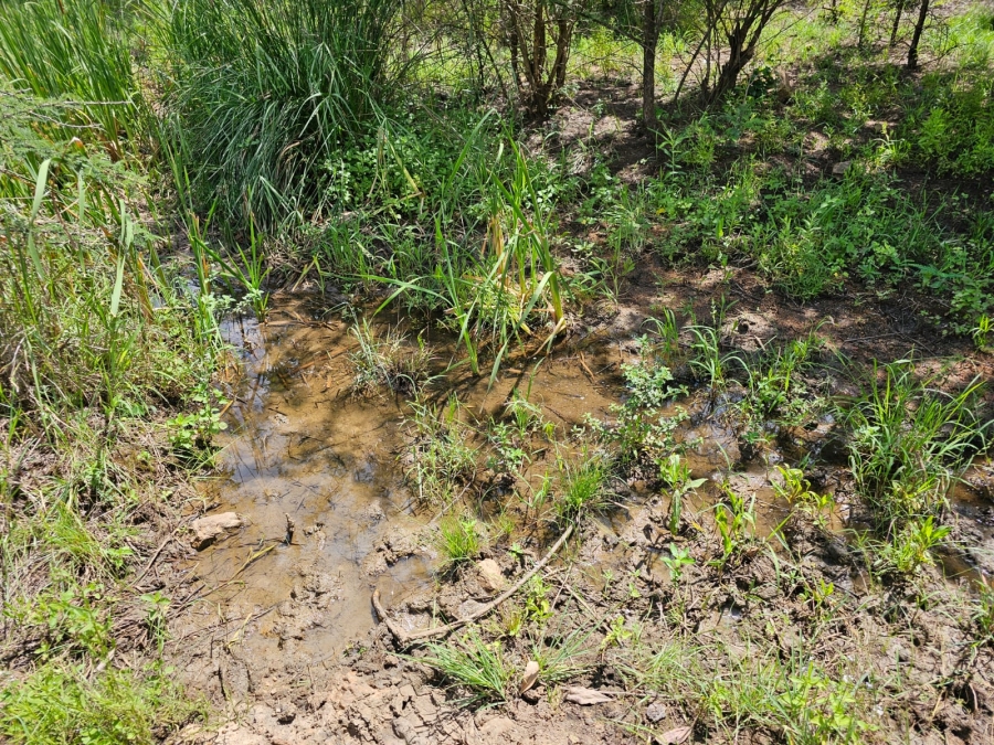 Commercial Property for Sale in Doveni Limpopo