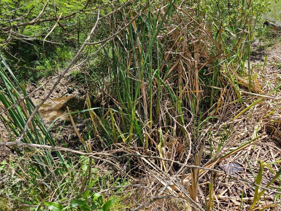 Commercial Property for Sale in Doveni Limpopo