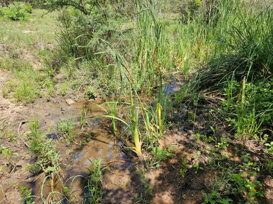 Commercial Property for Sale in Doveni Limpopo