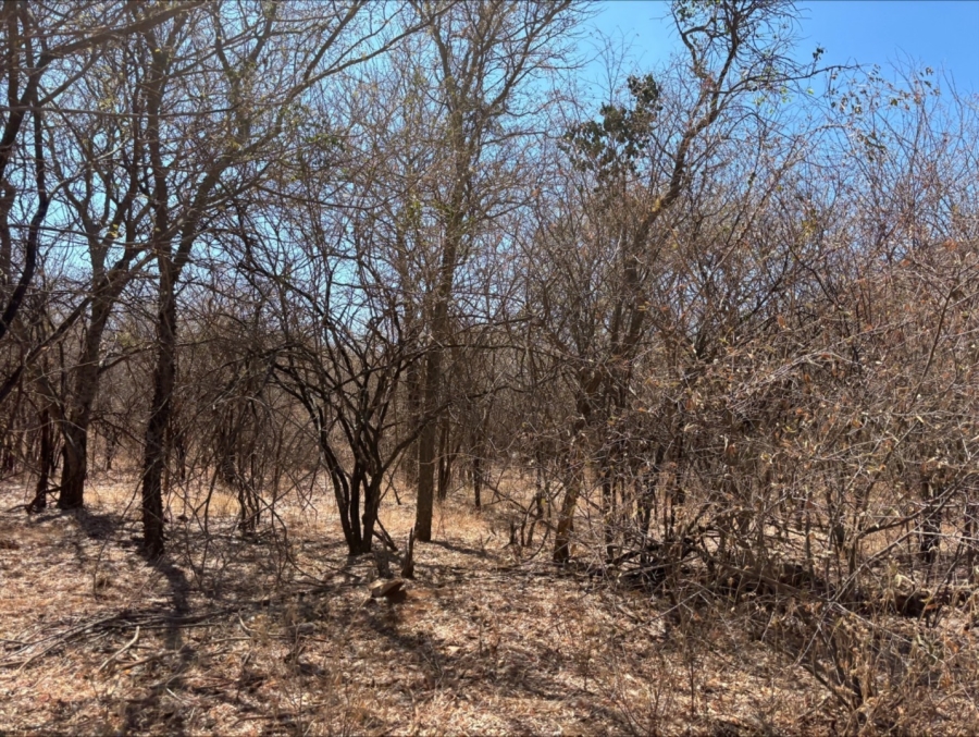 3 Bedroom Property for Sale in Bela Bela Limpopo