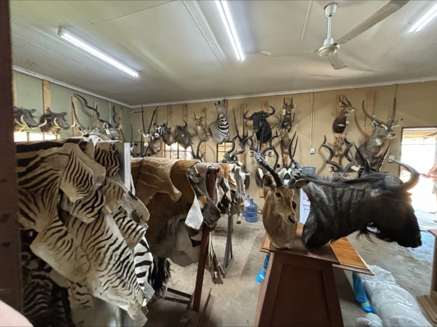 3 Bedroom Property for Sale in Bela Bela Limpopo