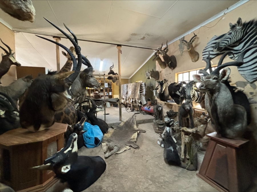 3 Bedroom Property for Sale in Bela Bela Limpopo