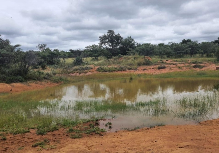9 Bedroom Property for Sale in Modimolle Limpopo