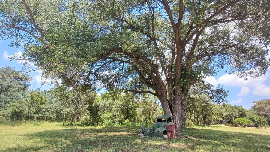 9 Bedroom Property for Sale in Modimolle Limpopo