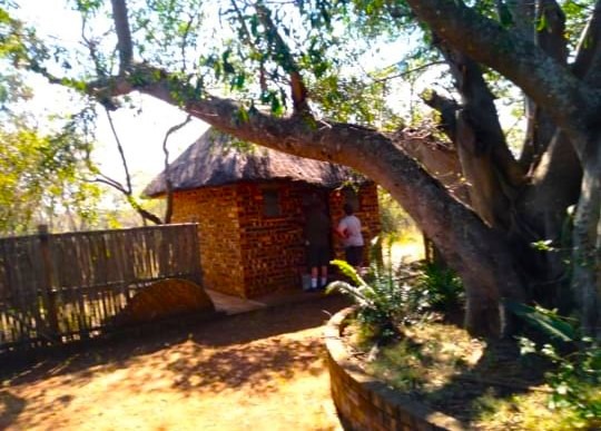 9 Bedroom Property for Sale in Modimolle Limpopo