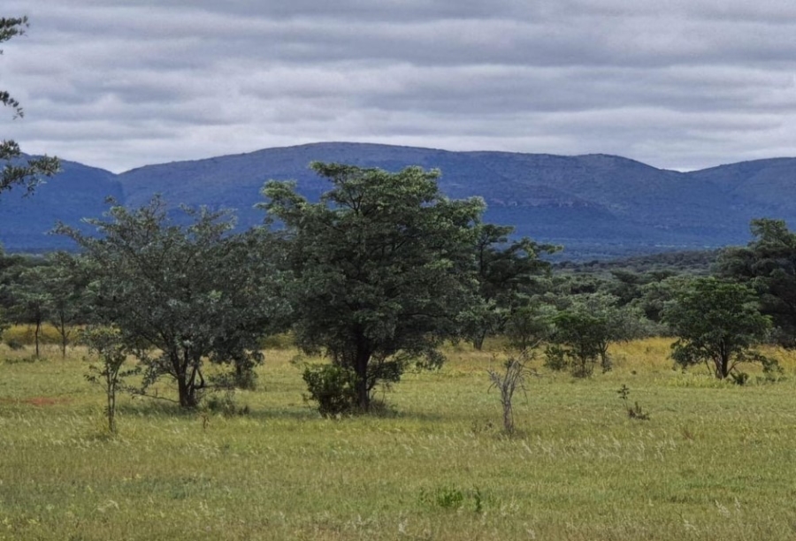 9 Bedroom Property for Sale in Modimolle Limpopo