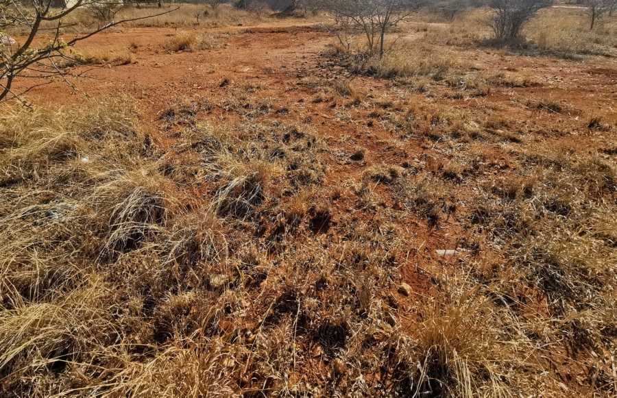 0 Bedroom Property for Sale in Bendor Limpopo