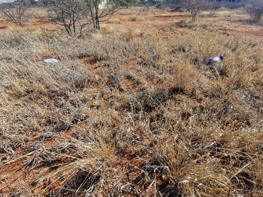 0 Bedroom Property for Sale in Bendor Limpopo