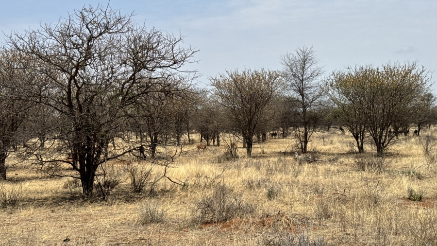 4 Bedroom Property for Sale in Marken Limpopo