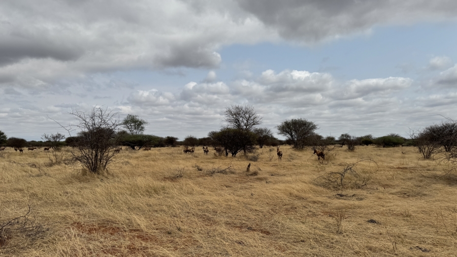 4 Bedroom Property for Sale in Marken Limpopo