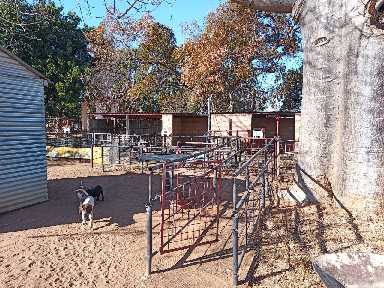 0 Bedroom Property for Sale in Naboomspruit Limpopo