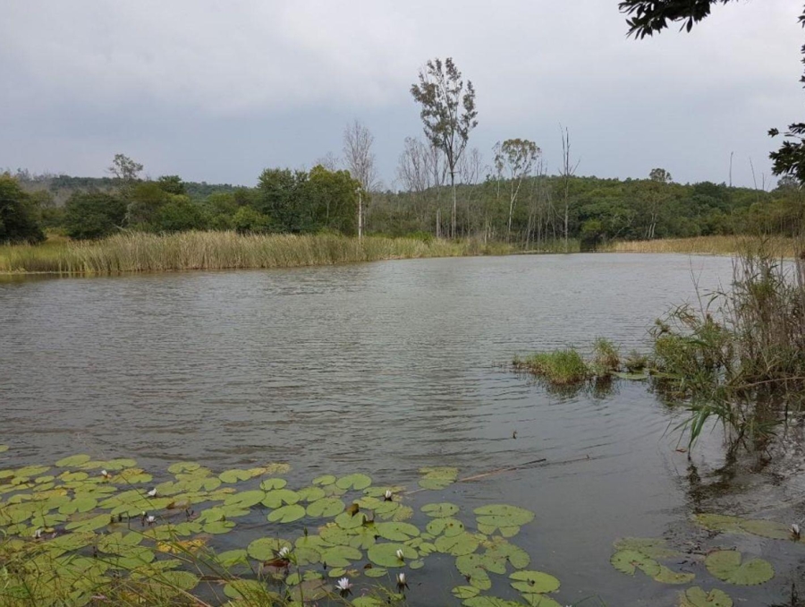 0 Bedroom Property for Sale in Mookgopong Limpopo
