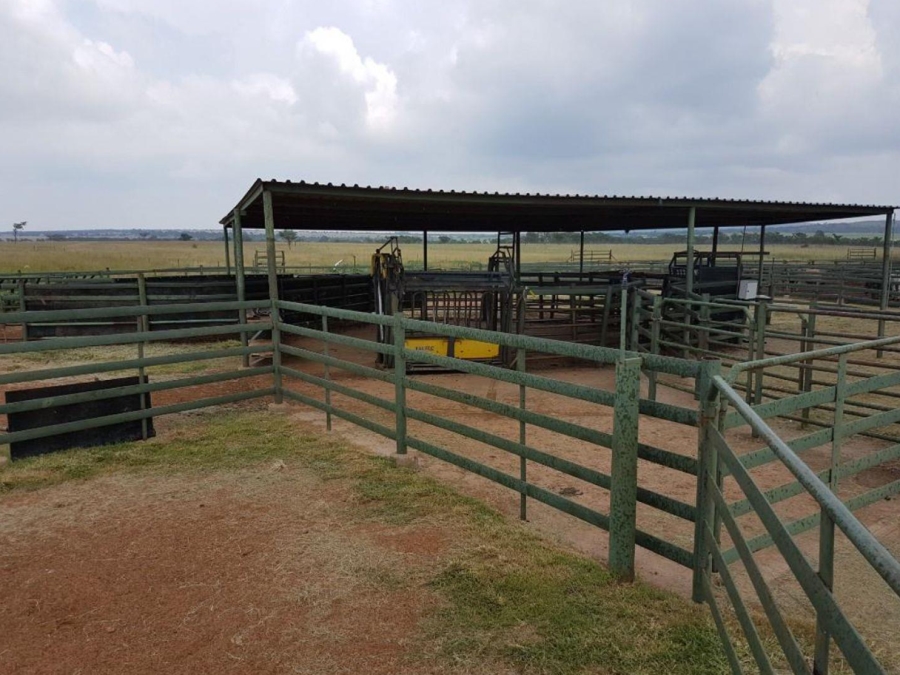 0 Bedroom Property for Sale in Mookgopong Limpopo