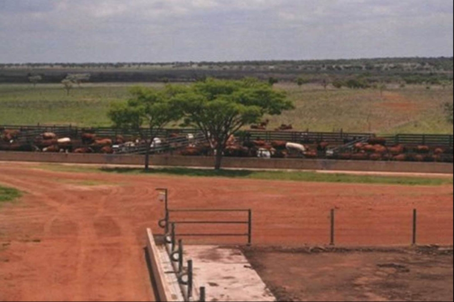 0 Bedroom Property for Sale in Mookgopong Limpopo