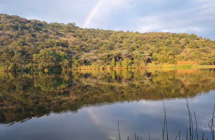 0 Bedroom Property for Sale in Bela Bela Limpopo
