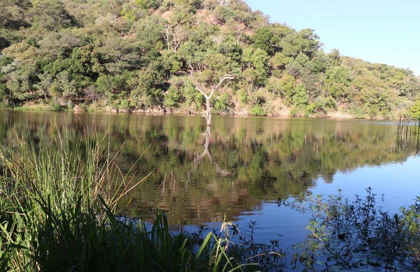 0 Bedroom Property for Sale in Bela Bela Limpopo