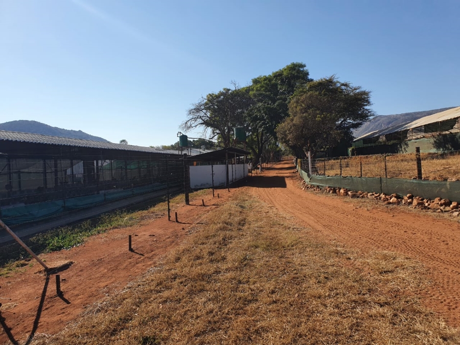 0 Bedroom Property for Sale in Mokopane Limpopo