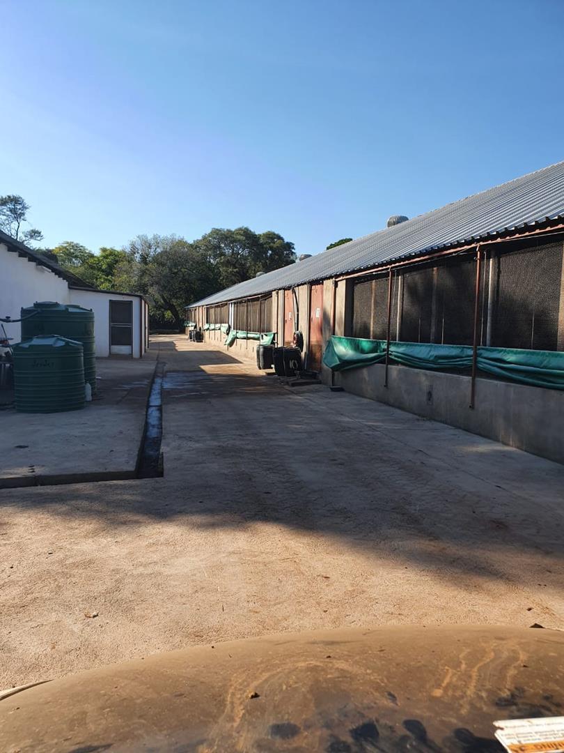 0 Bedroom Property for Sale in Mokopane Limpopo