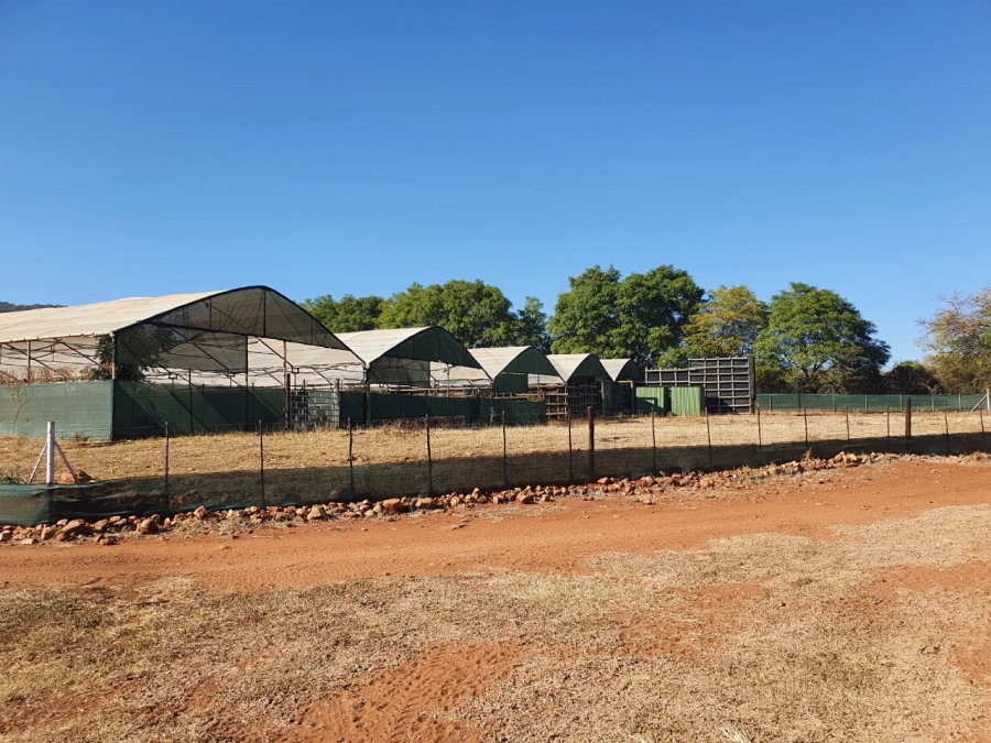 0 Bedroom Property for Sale in Mokopane Limpopo