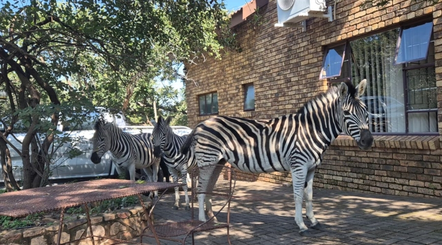 3 Bedroom Property for Sale in Leeupoort Limpopo