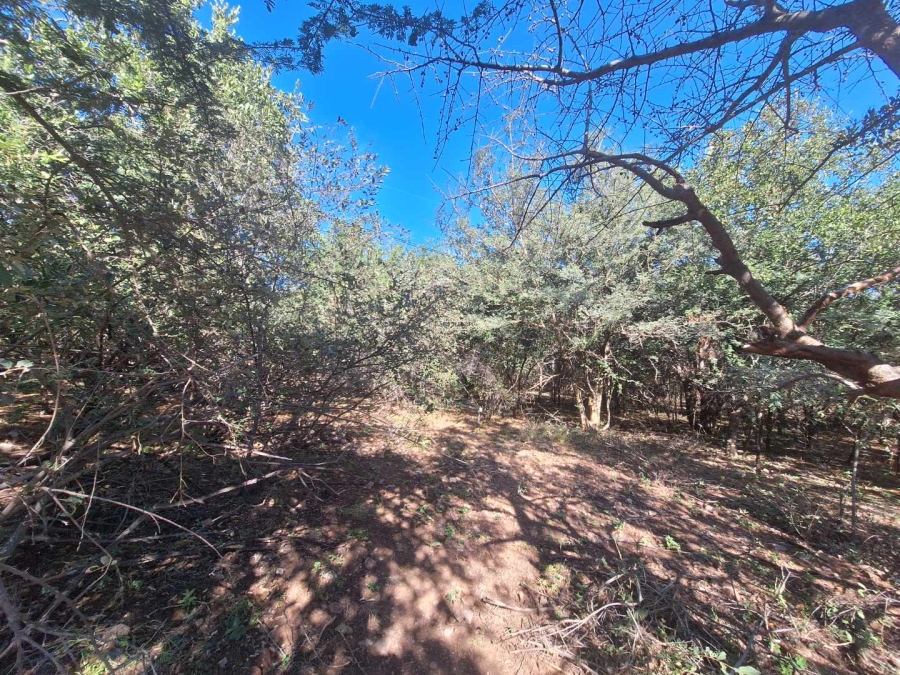 0 Bedroom Property for Sale in Leeupoort Limpopo