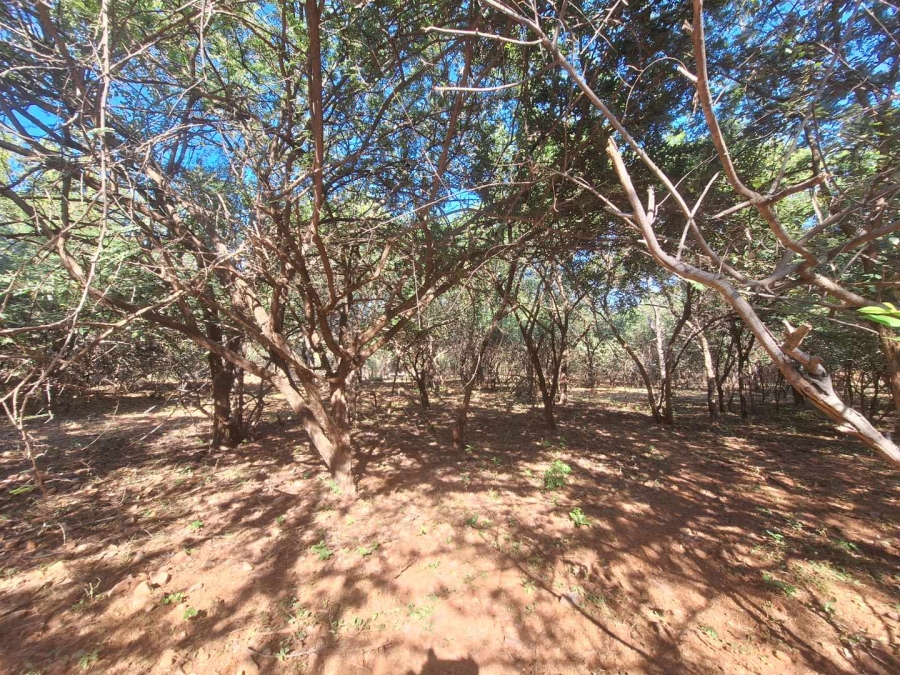 0 Bedroom Property for Sale in Leeupoort Limpopo