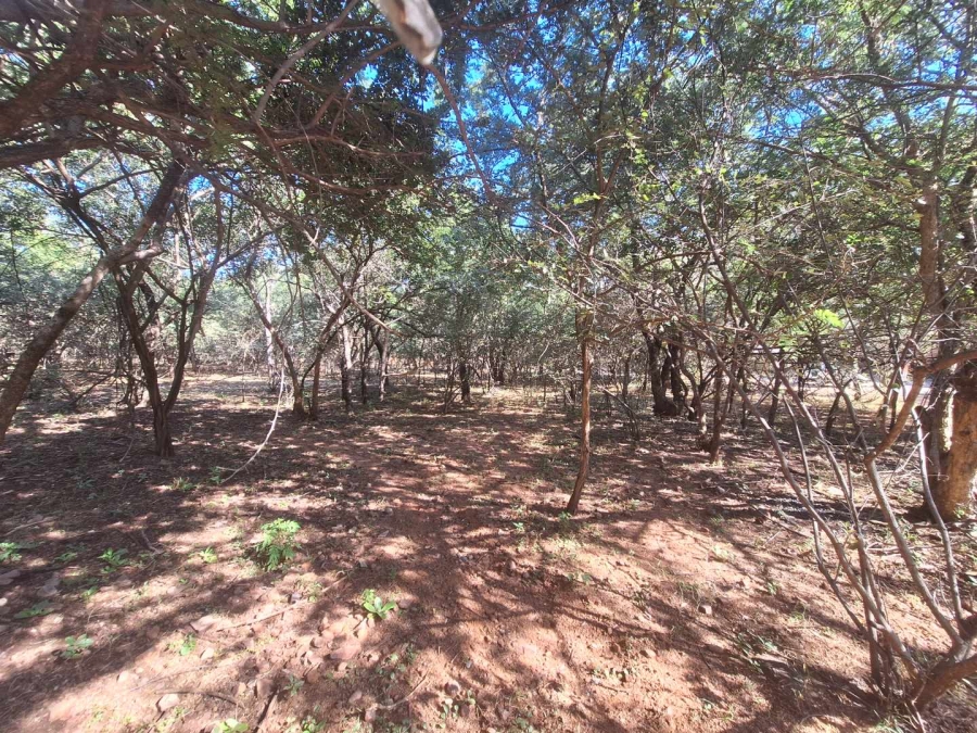 0 Bedroom Property for Sale in Leeupoort Limpopo