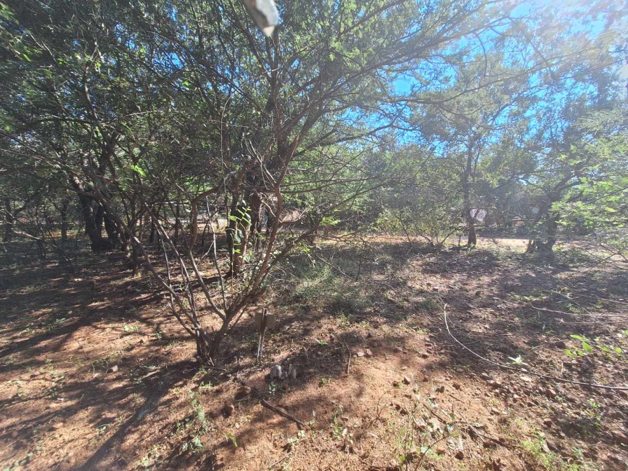 0 Bedroom Property for Sale in Leeupoort Limpopo