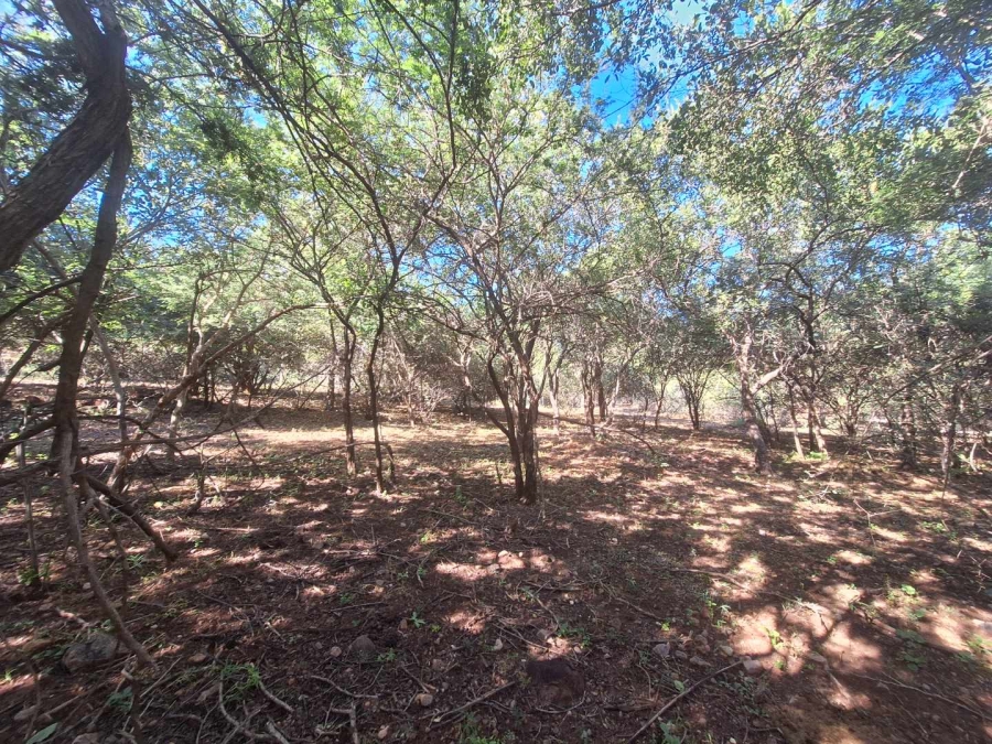0 Bedroom Property for Sale in Leeupoort Limpopo