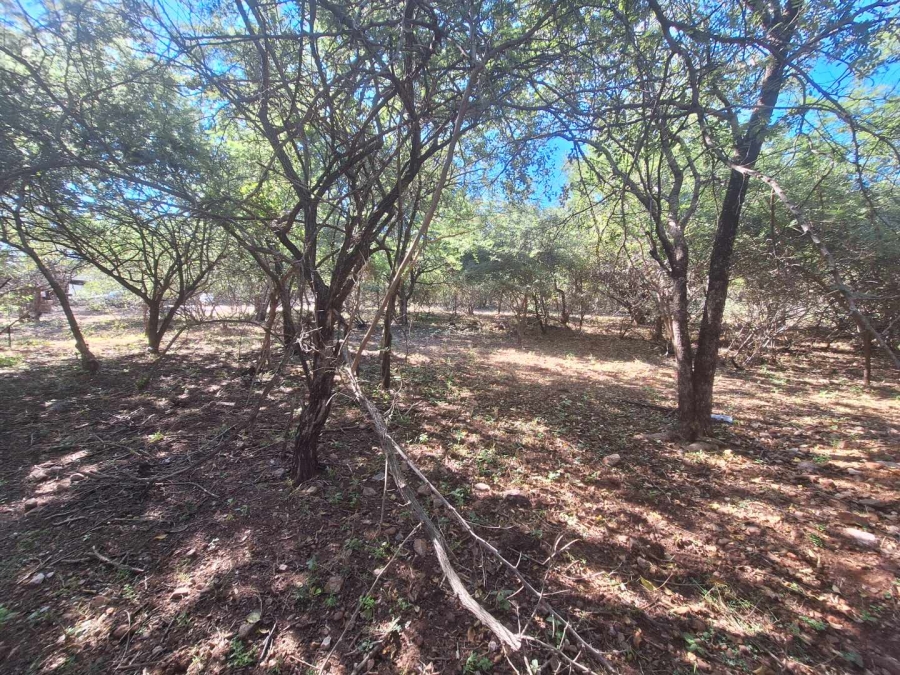 0 Bedroom Property for Sale in Leeupoort Limpopo
