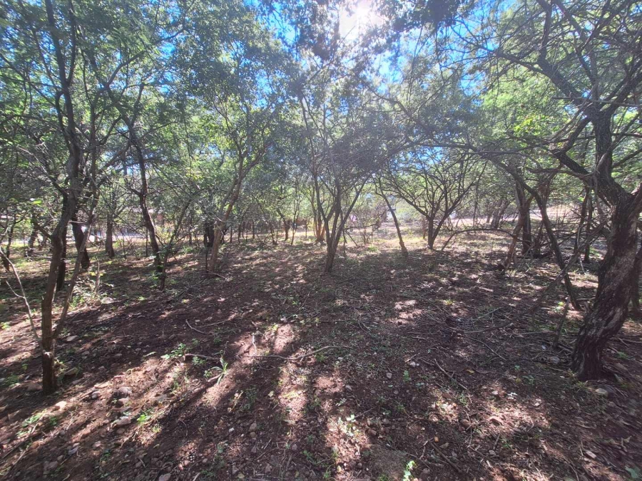 0 Bedroom Property for Sale in Leeupoort Limpopo