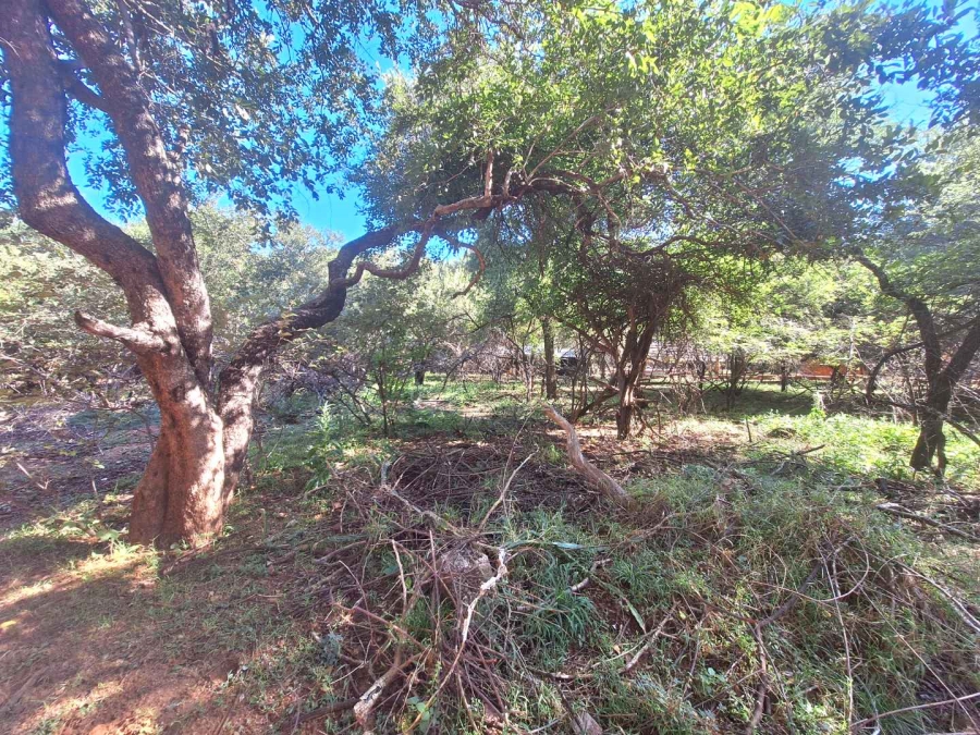 0 Bedroom Property for Sale in Leeupoort Limpopo