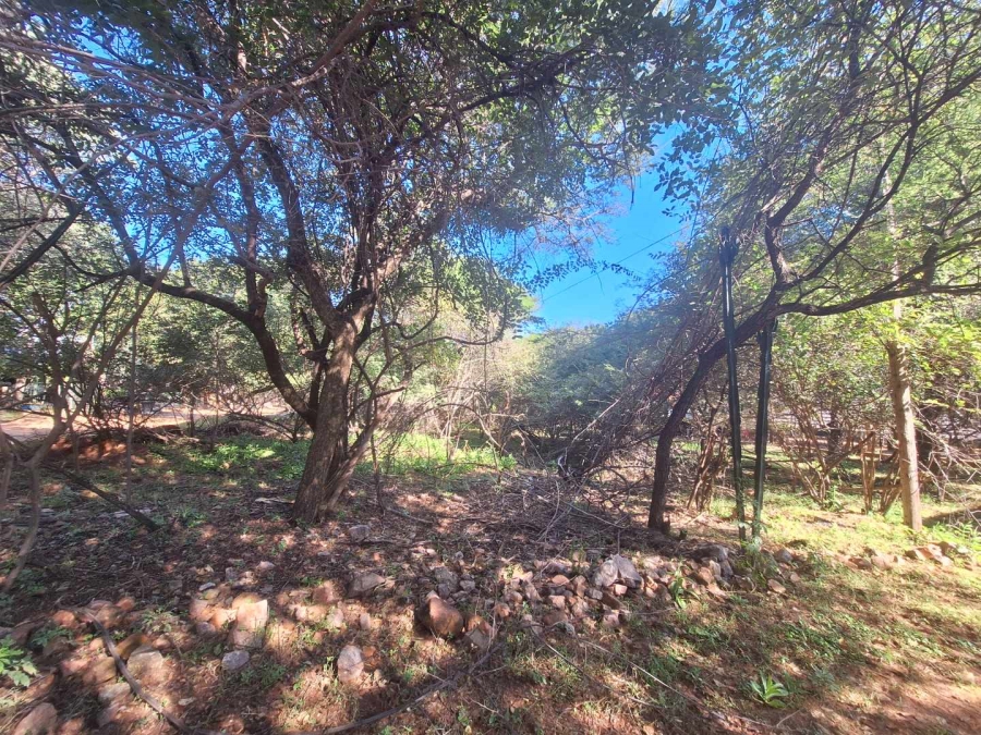 0 Bedroom Property for Sale in Leeupoort Limpopo