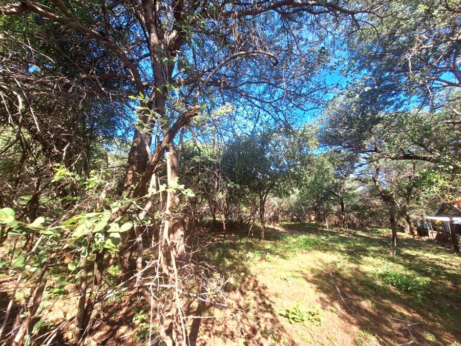 0 Bedroom Property for Sale in Leeupoort Limpopo