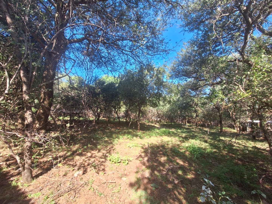 0 Bedroom Property for Sale in Leeupoort Limpopo