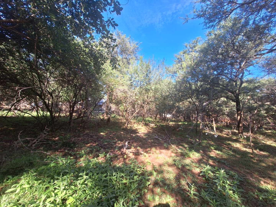 0 Bedroom Property for Sale in Leeupoort Limpopo