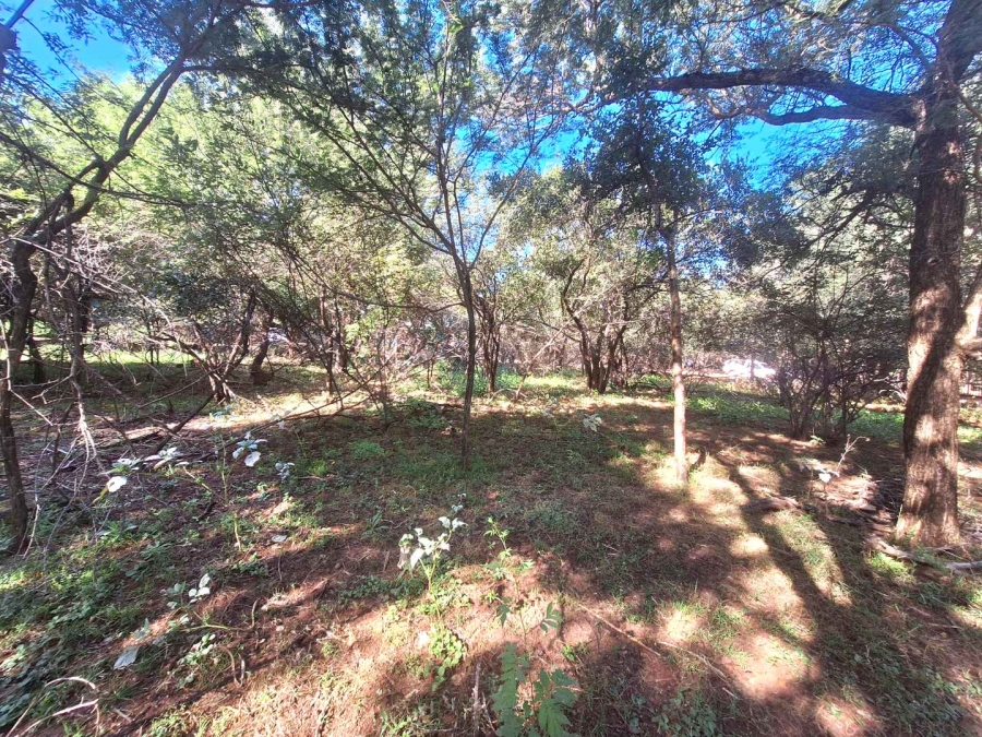 0 Bedroom Property for Sale in Leeupoort Limpopo