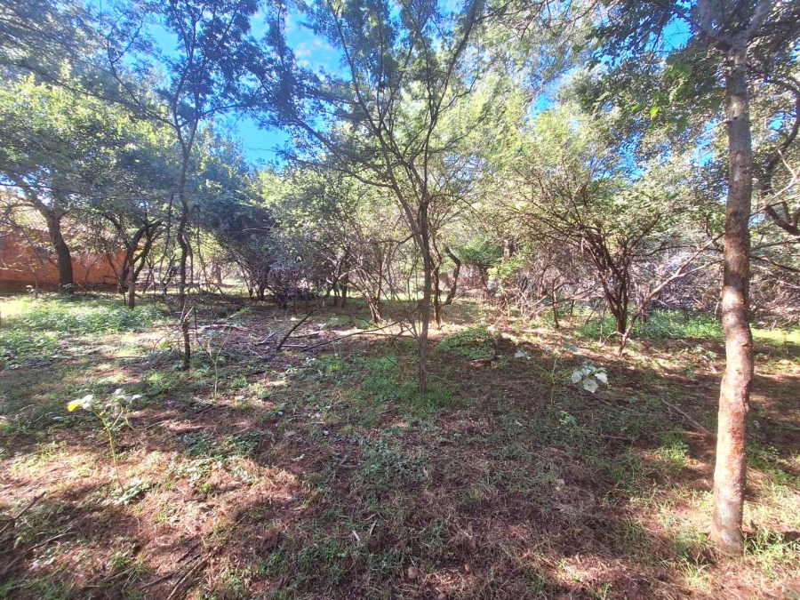 0 Bedroom Property for Sale in Leeupoort Limpopo