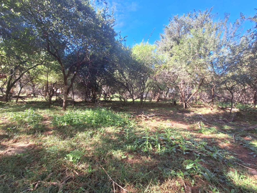 0 Bedroom Property for Sale in Leeupoort Limpopo