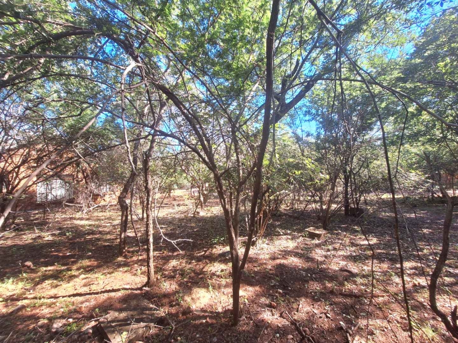 0 Bedroom Property for Sale in Leeupoort Limpopo