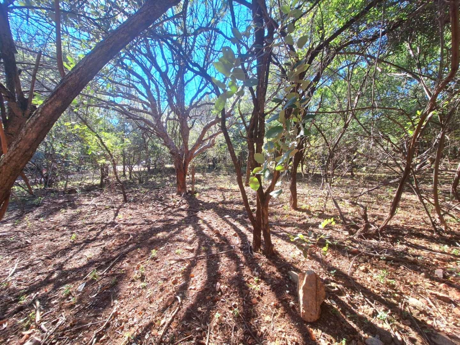 0 Bedroom Property for Sale in Leeupoort Limpopo