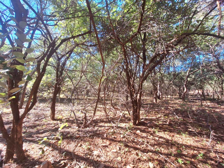 0 Bedroom Property for Sale in Leeupoort Limpopo