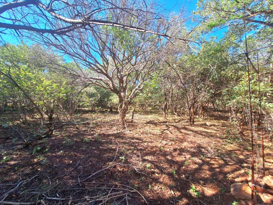 0 Bedroom Property for Sale in Leeupoort Limpopo