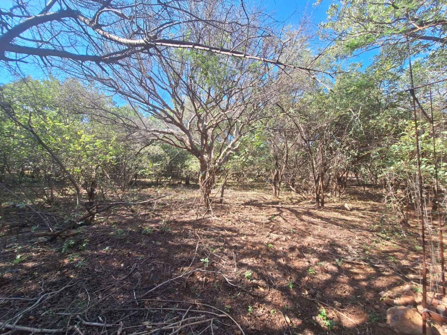 0 Bedroom Property for Sale in Leeupoort Limpopo